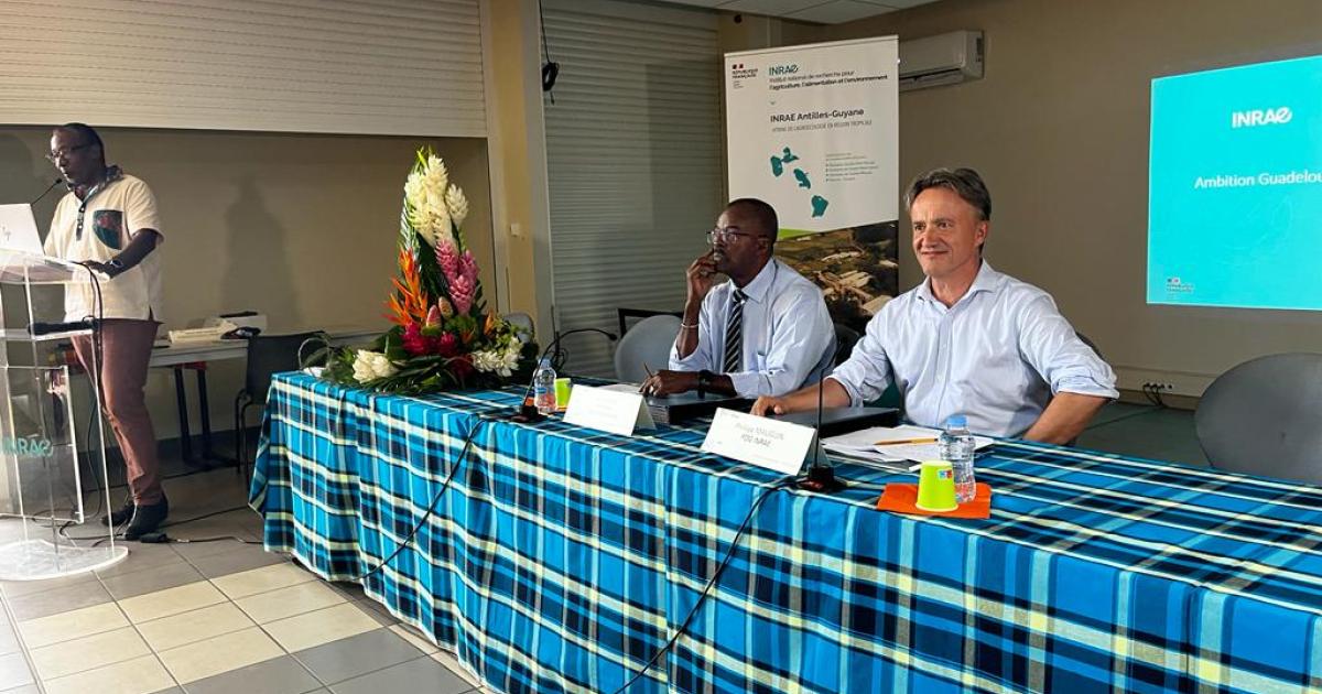 Ary Chalus : « un ministre ne peut pas venir sans visiter les agriculteurs »
