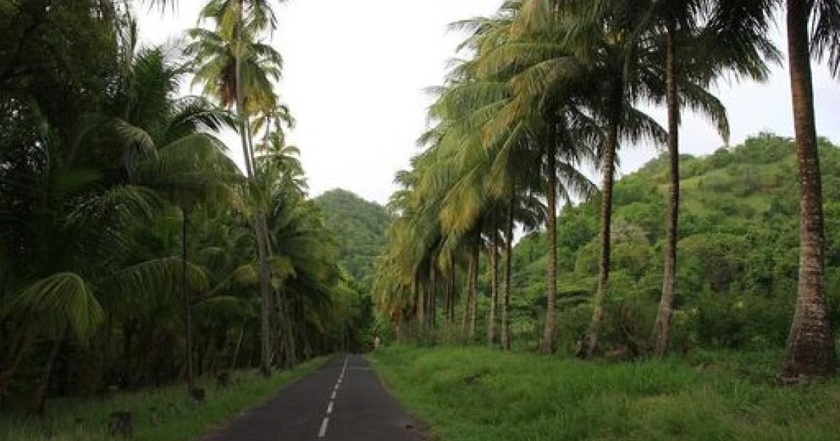 La route de l’Anse Couleuvre au Prêcheur est fermée pour risques d’éboulis