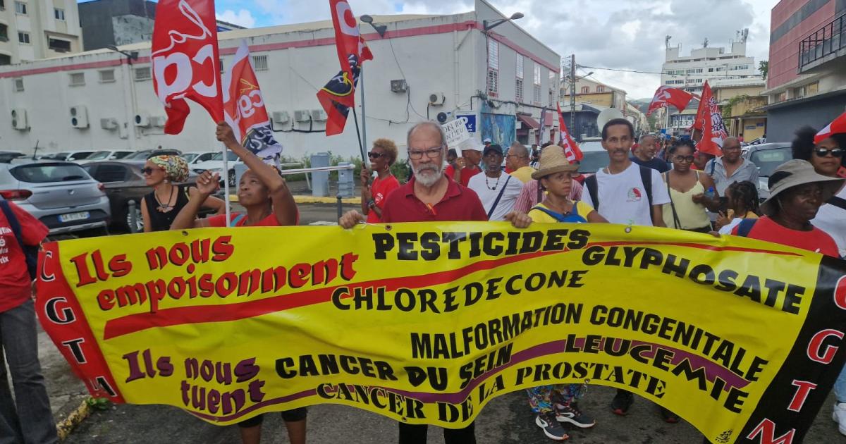     





« Gaoulé Kont Chlordécone » : plus de 1000 personnes dans les rues de Fort-de-France




