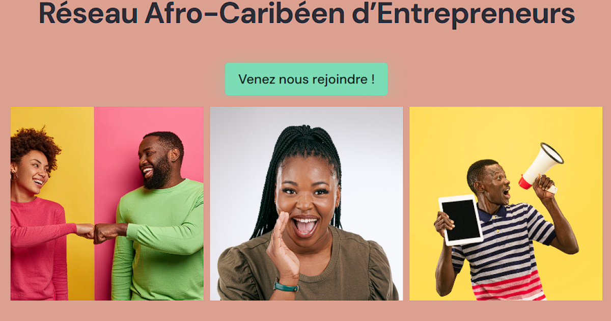 Un réseau afro-caribéen d'entrepreneurs voit le jour en ligne