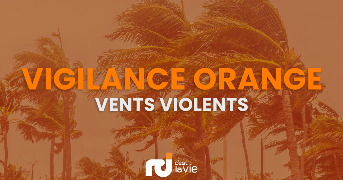 Ouragan « Tammy » : la Martinique passe en vigilance Orange pour « vents violents »