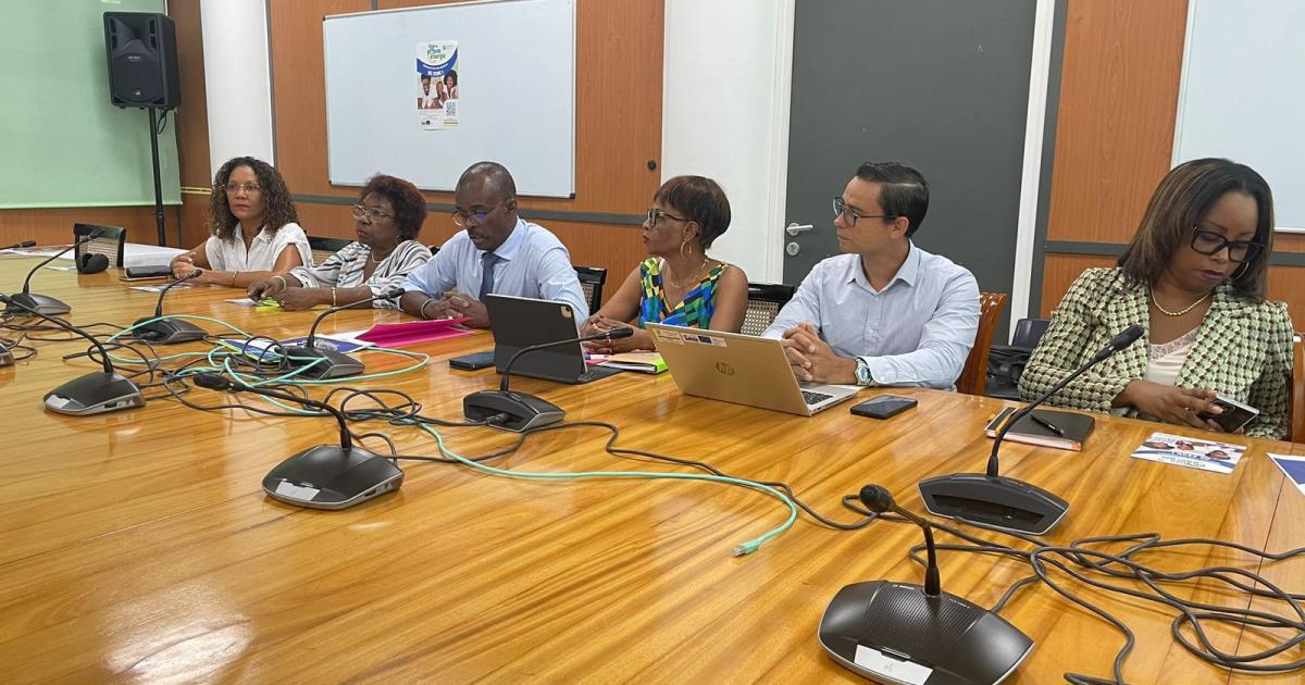 220 € pour soulager la facture des foyers précaires en Guadeloupe