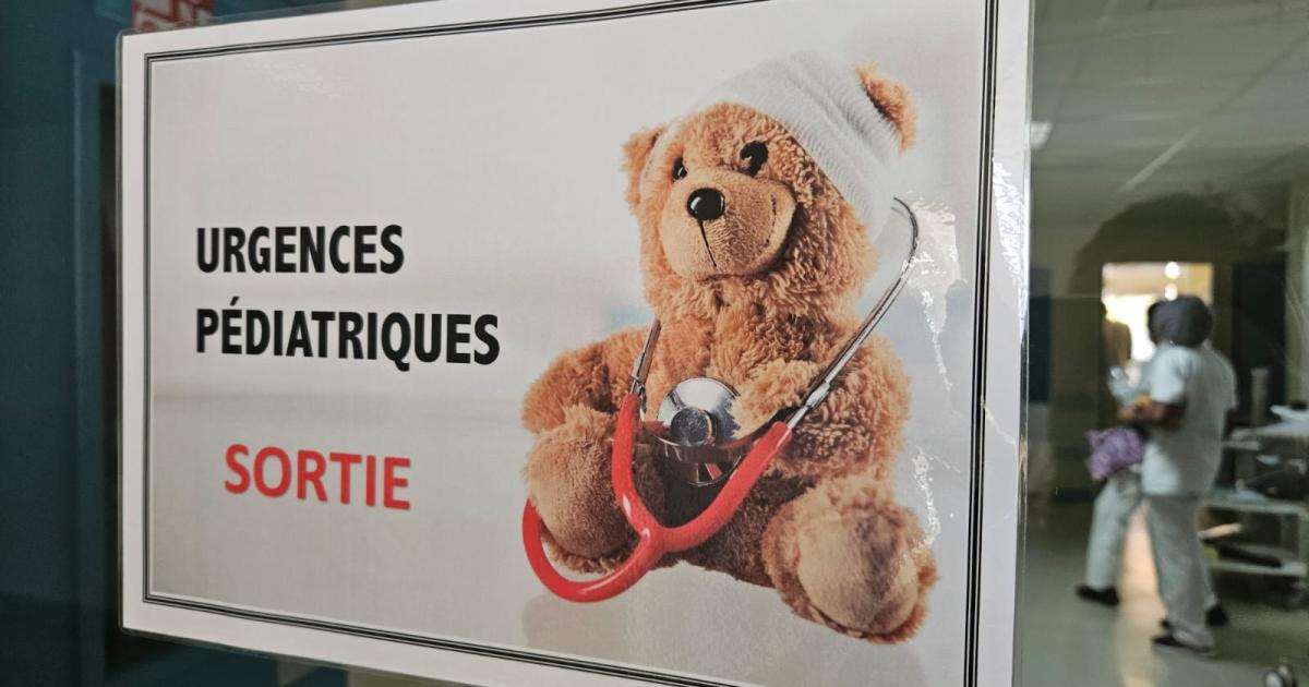La dengue : une maladie pédiatrique commune à surveiller de près