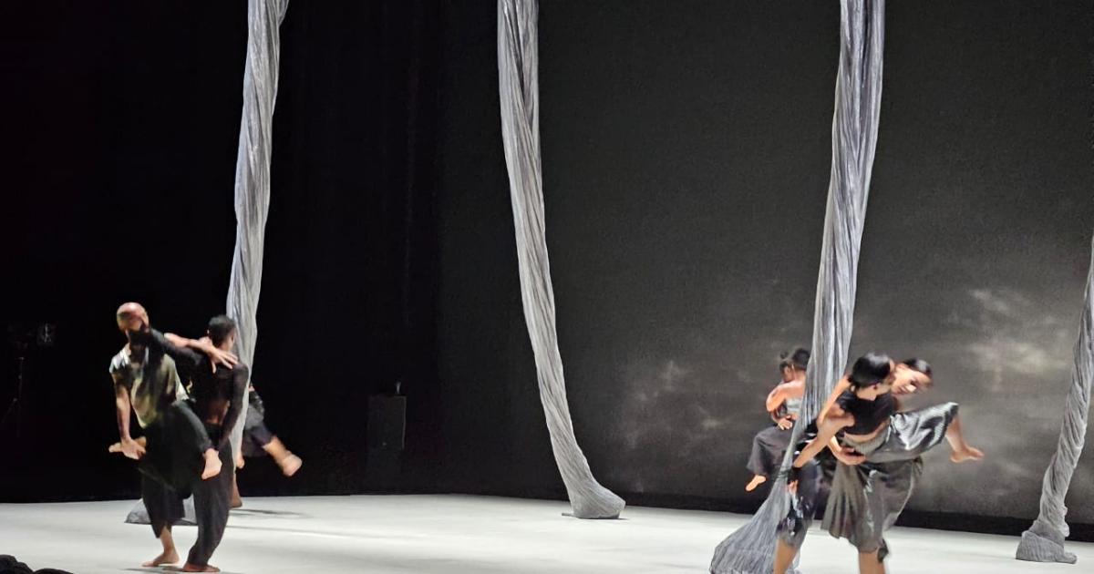 « Tout Moun », la danse comme point de rencontre de la diversité