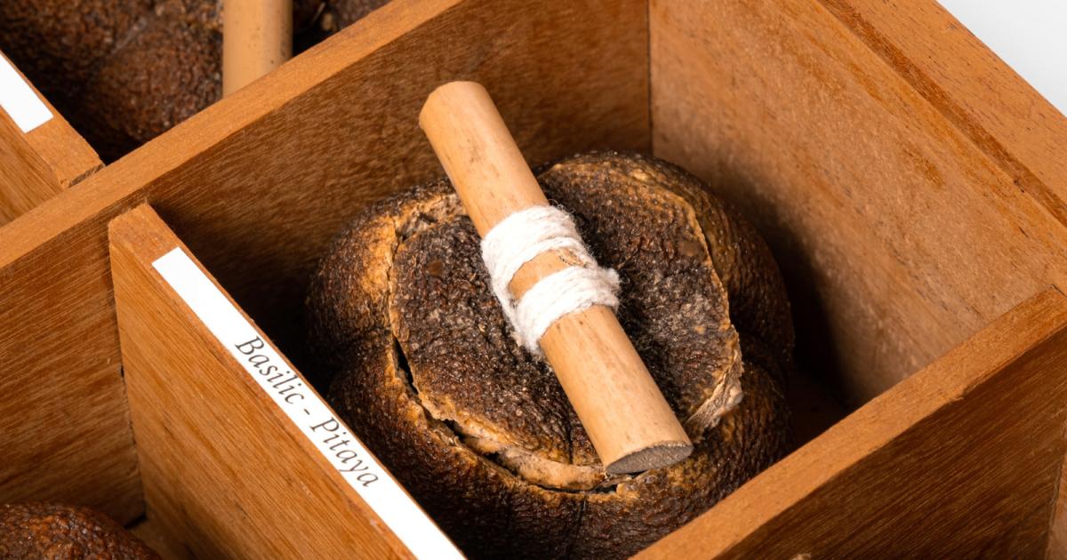 La « Coquille Agrume » distinguée au Prix Agro-innovation du Parm 2023