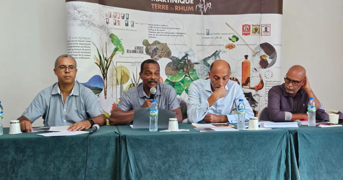 208 632 tonnes de cannes à sucre récoltées en 2023
