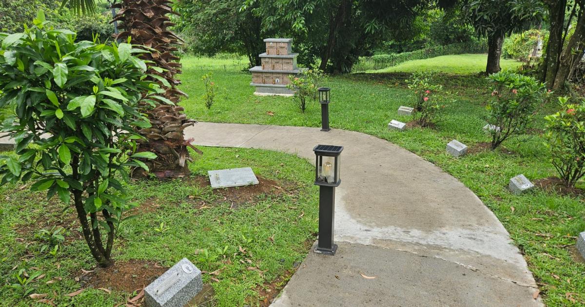     





[SERIE TOUSSAINT 3/4] 500 crémations par an en Martinique 




