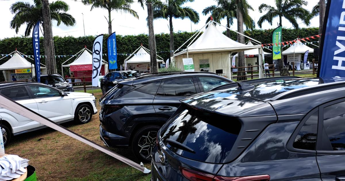     





[DOSSIER] Les ventes de voitures électriques ont grimpé de 20% en 2023 en Guadeloupe 




