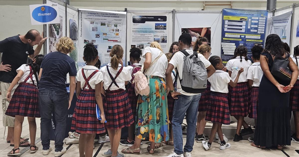 La science en fête à l’Institut martiniquais du sport au Lamentin