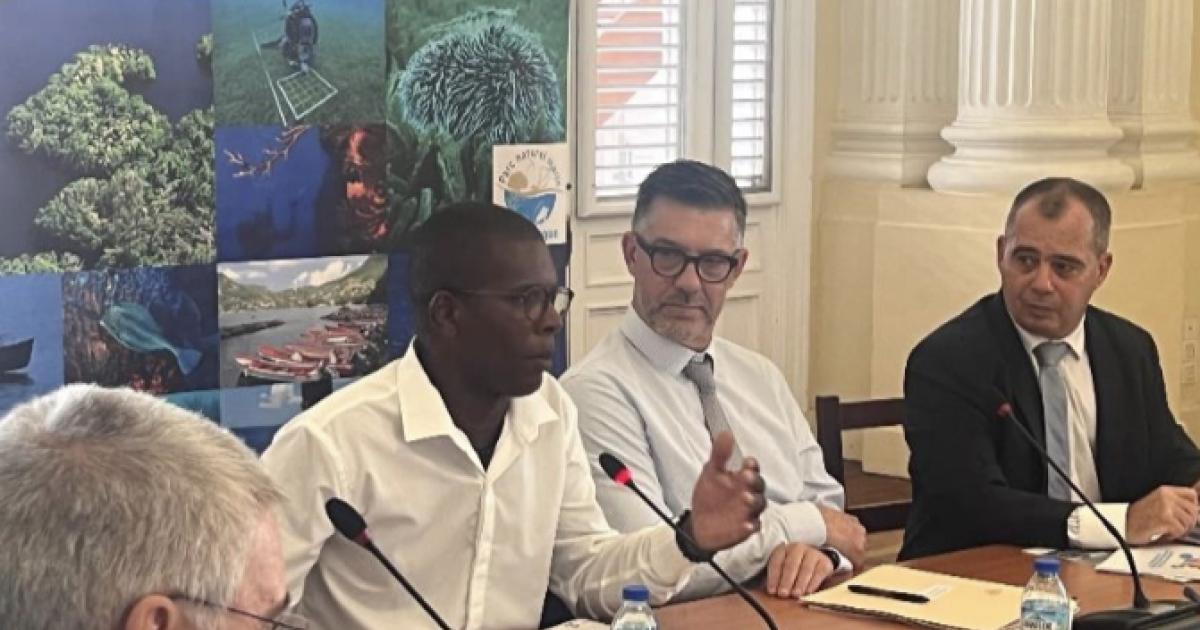     





Jean-Michel Cotrebil est le nouveau président du conseil de gestion du Parc naturel marin de Martinique




