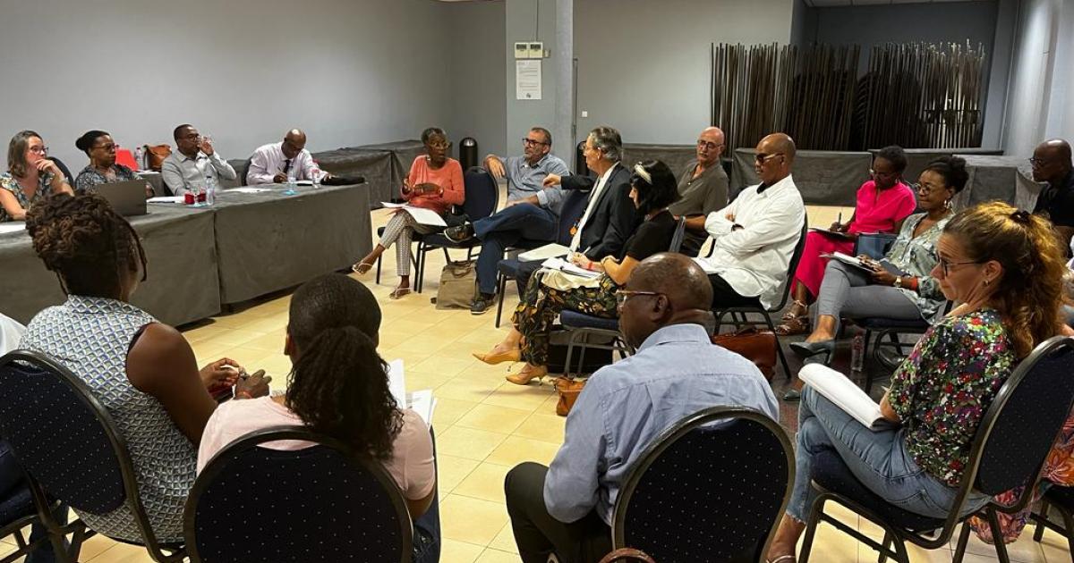     





Les Assises du travail s’intéressent à l’égalité professionnelle hommes femmes en Guadeloupe




