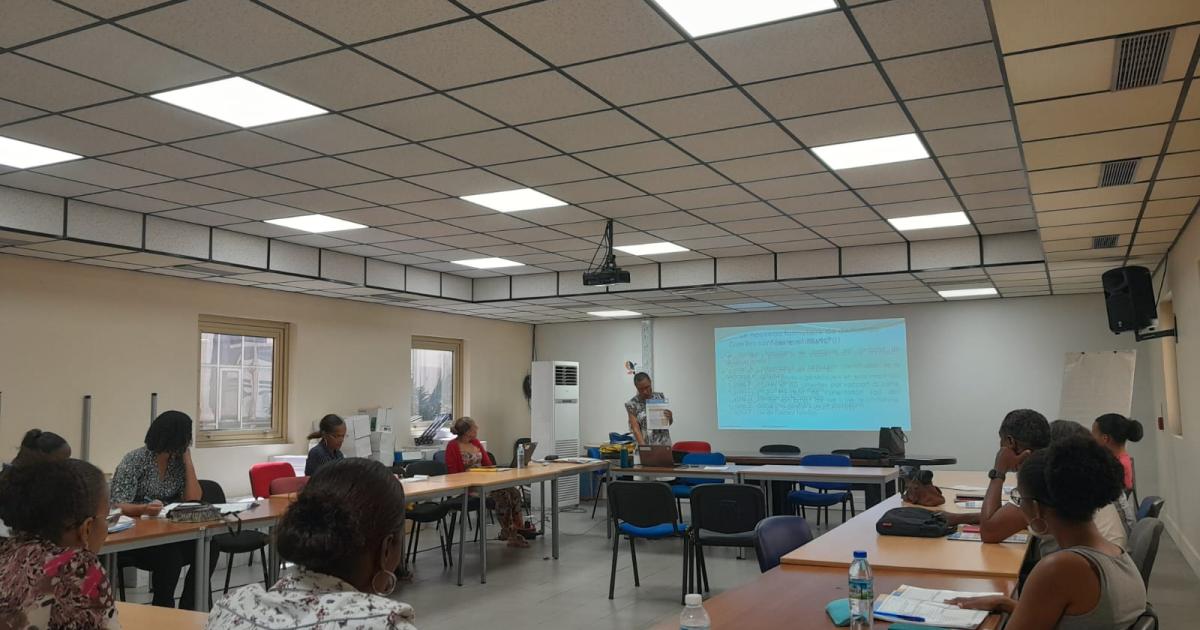     





La MMPH forme les agents France Services pour mieux aider le public atteint de handicap





