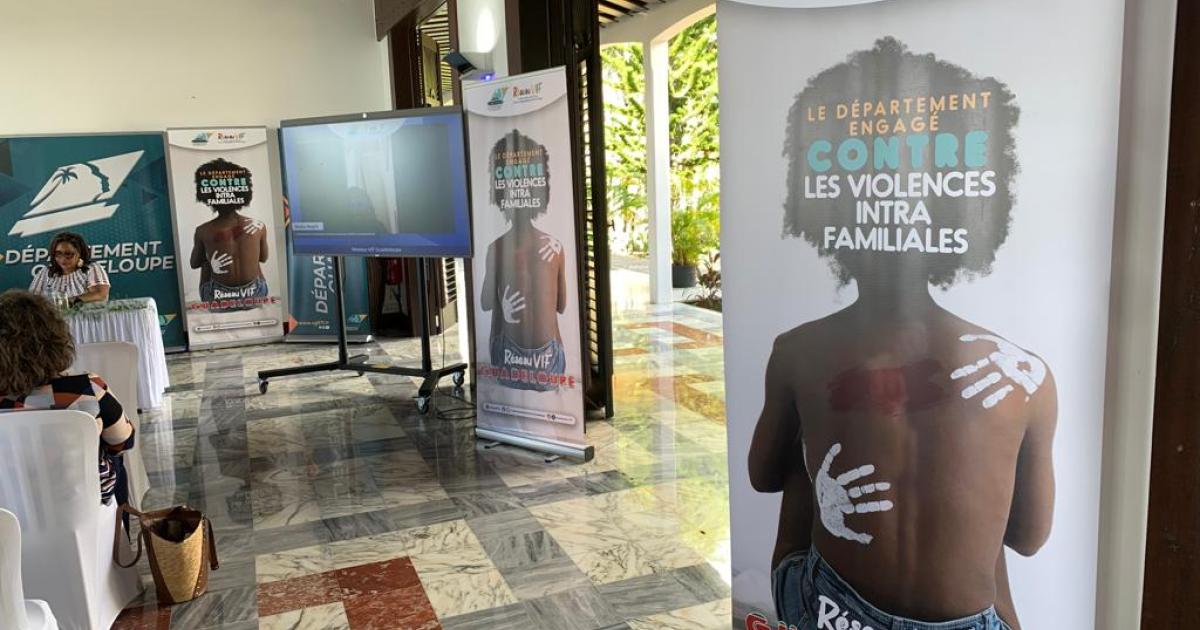 Une maison des femmes pour lutter contre les violences intra-familiales