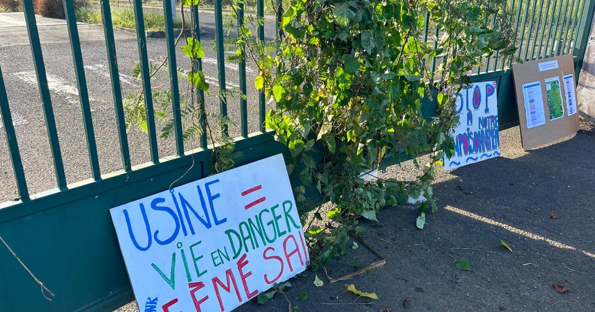     





Quel avenir pour l'usine d'équarrissage du Lamentin ?




