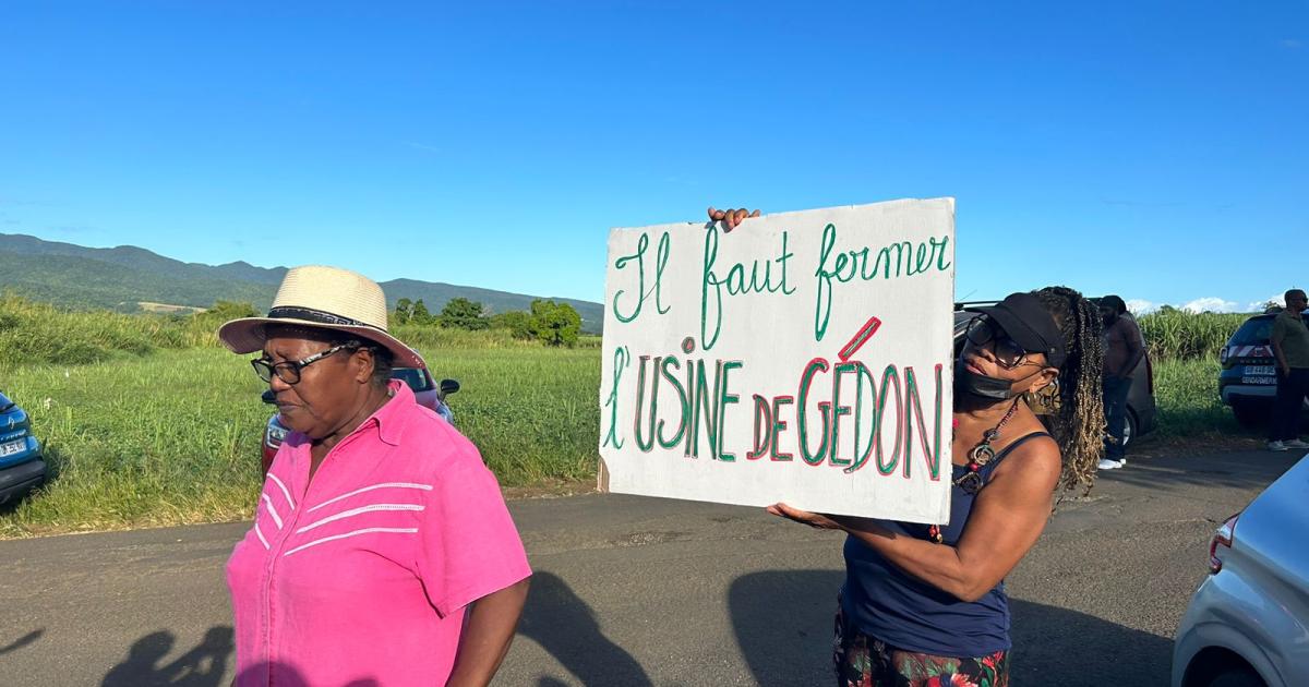 Des riverains en colère bloquent l’usine d’équarrissage à Lamentin