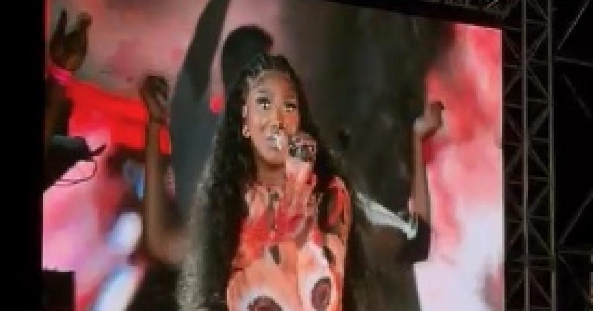 Un accord trouvé entre un collectif de spectateurs mécontents et l'organisateur du concert d'Aya Nakamura