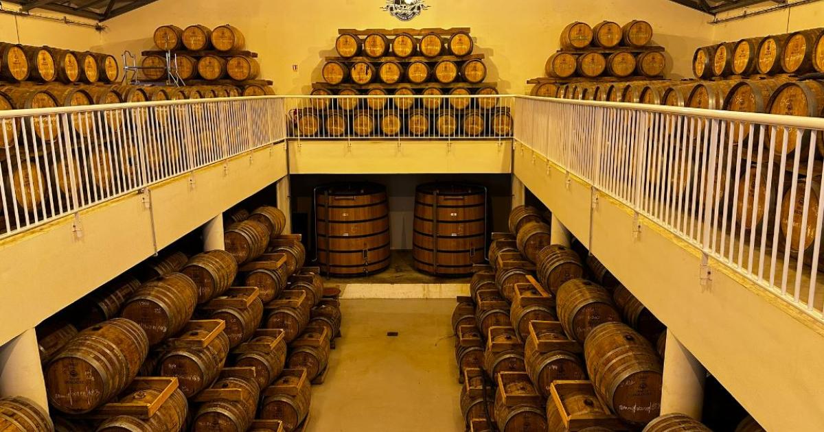     





Un Mondial du rhum consacré à l'éco-système du spiritueux





