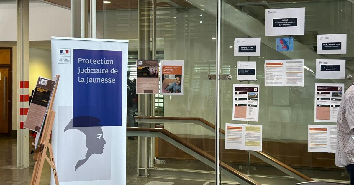 Une journée pour découvrir la protection judiciaire de la jeunesse