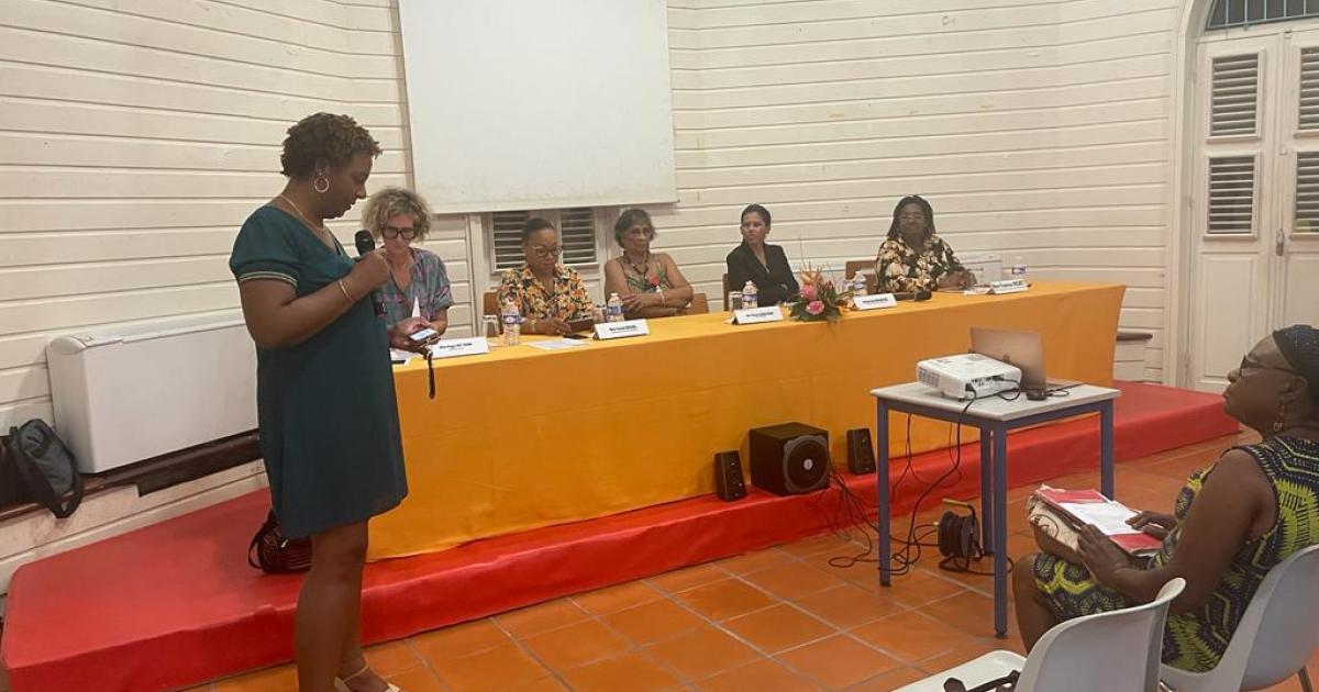Violences faites aux femmes : les associations réfléchissent à l’avenir