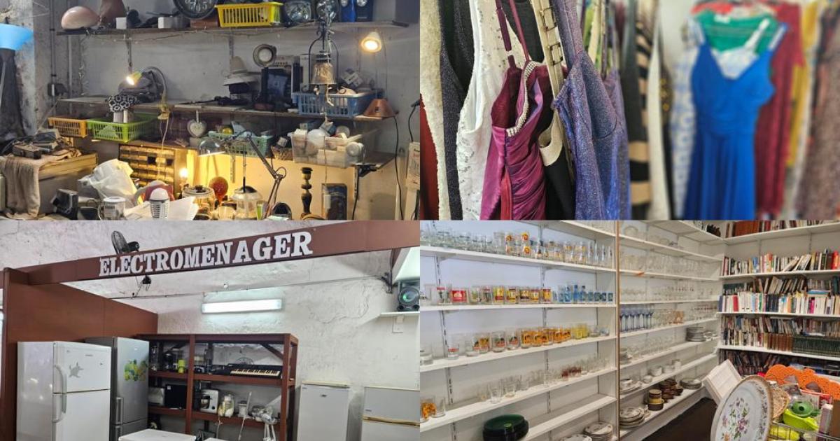     





[DOSSIER 1/2] Économie circulaire : le marché de la seconde main en plein essor en Martinique 





