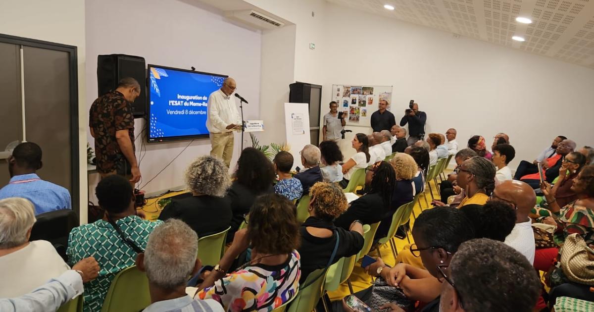 Handicap : l’ESAT « Jean Ravoteur » inauguré au Morne-Rouge