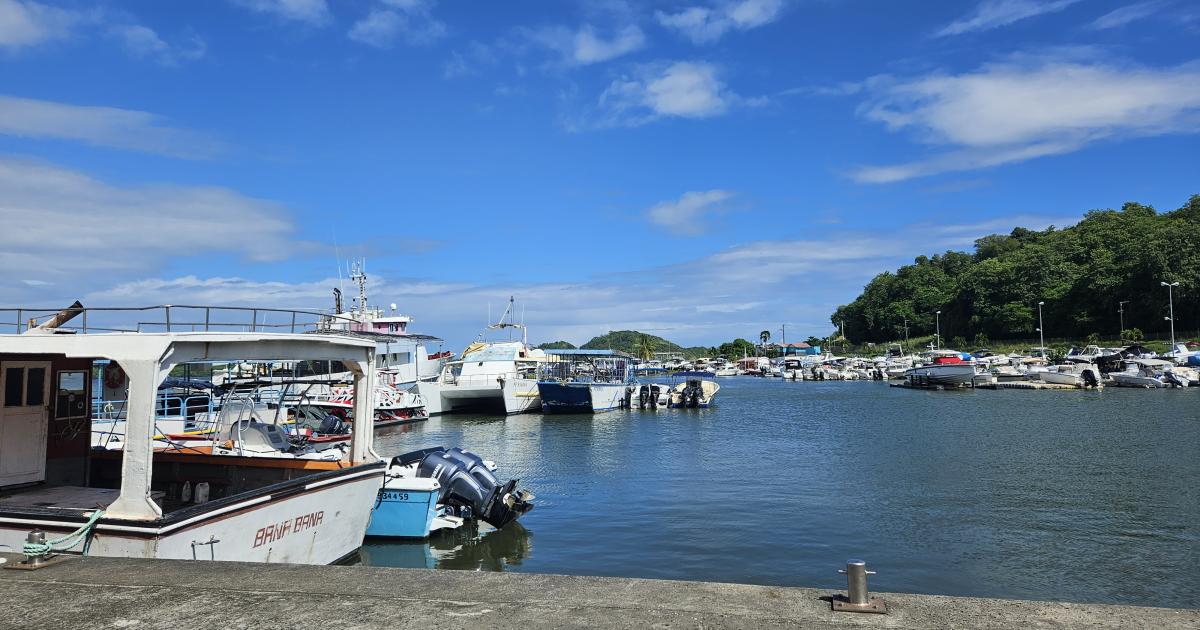     





Le Parc naturel marin de Martinique a composé son nouveau bureau




