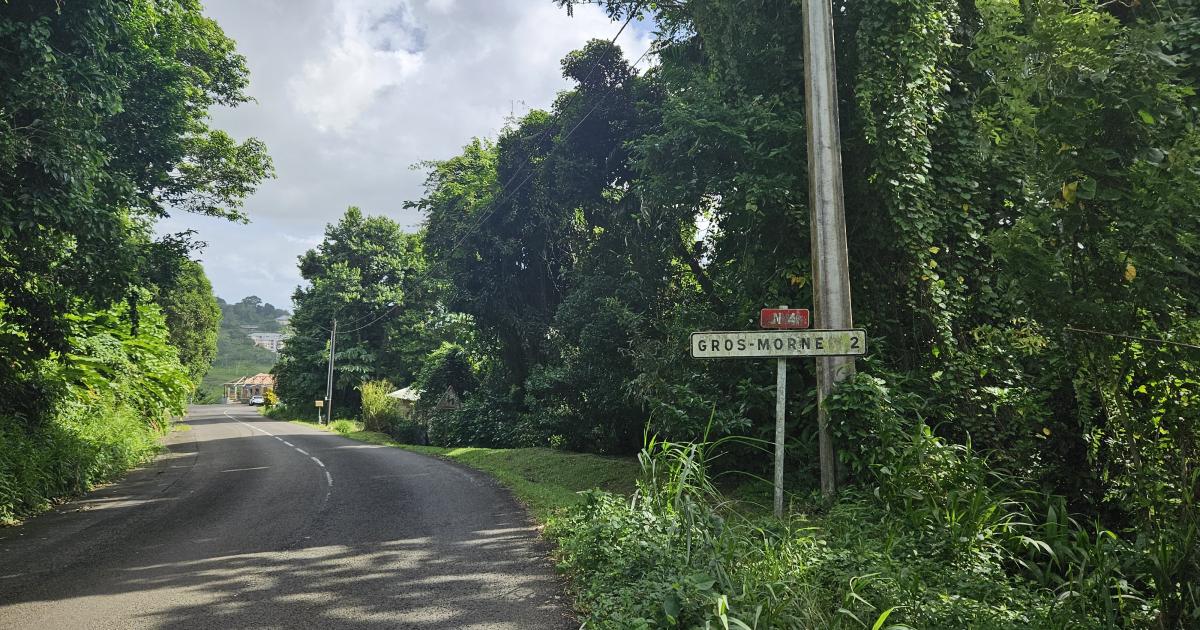 Décès d’une fillette : une cellule d’accompagnement mise en place au Gros-Morne