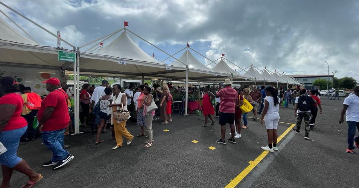     





 Jou a tradisyon attire les foules au parc d'activités de Jarry




