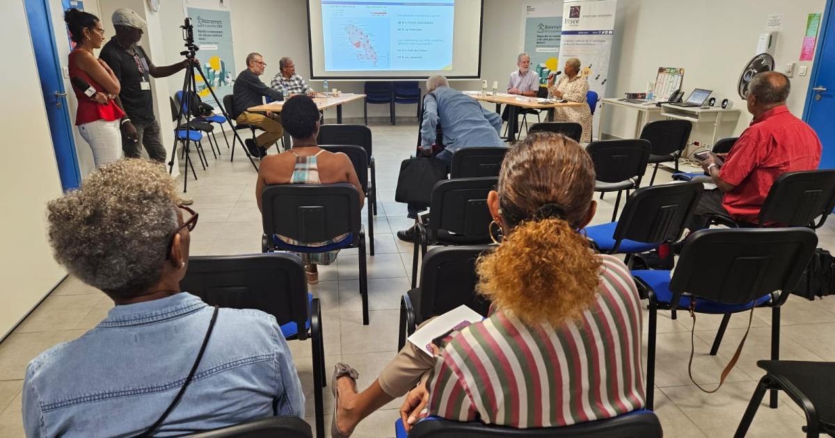 Plus de la moitié de la population martiniquaise bénéficie de la CAF