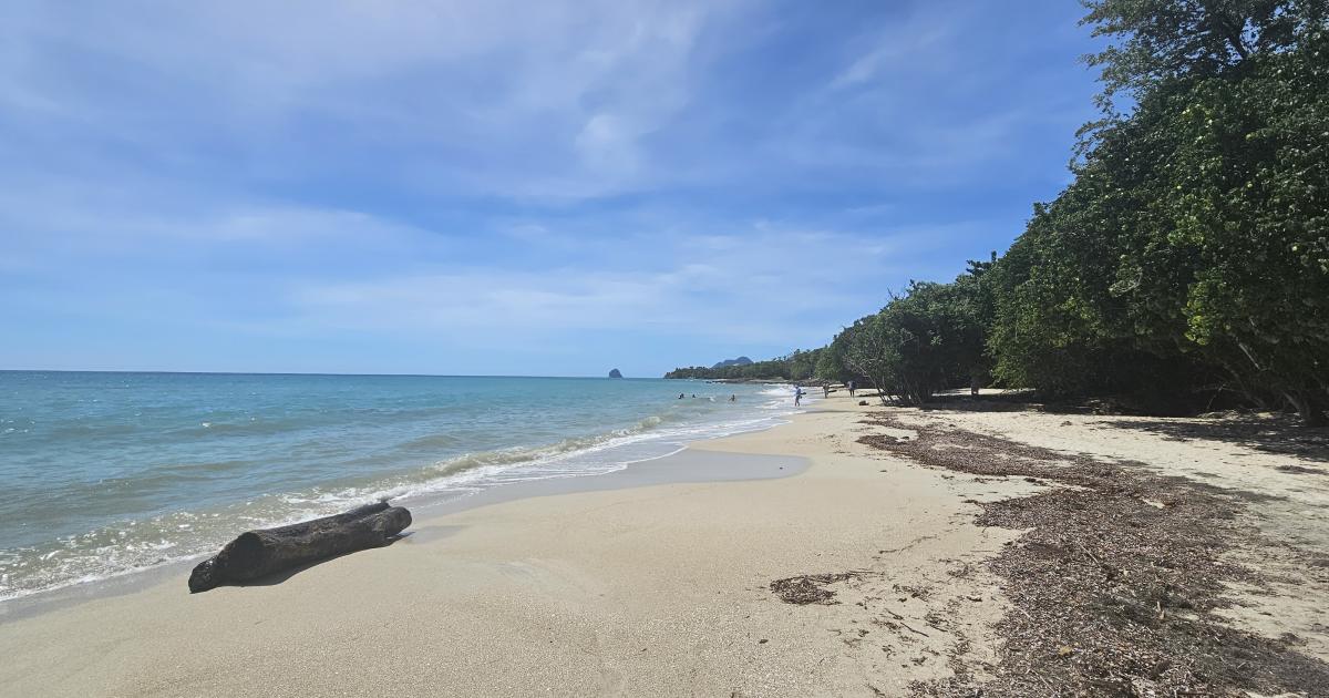 Harcèlement à la plage : un phénomène récurent sous nos latitudes