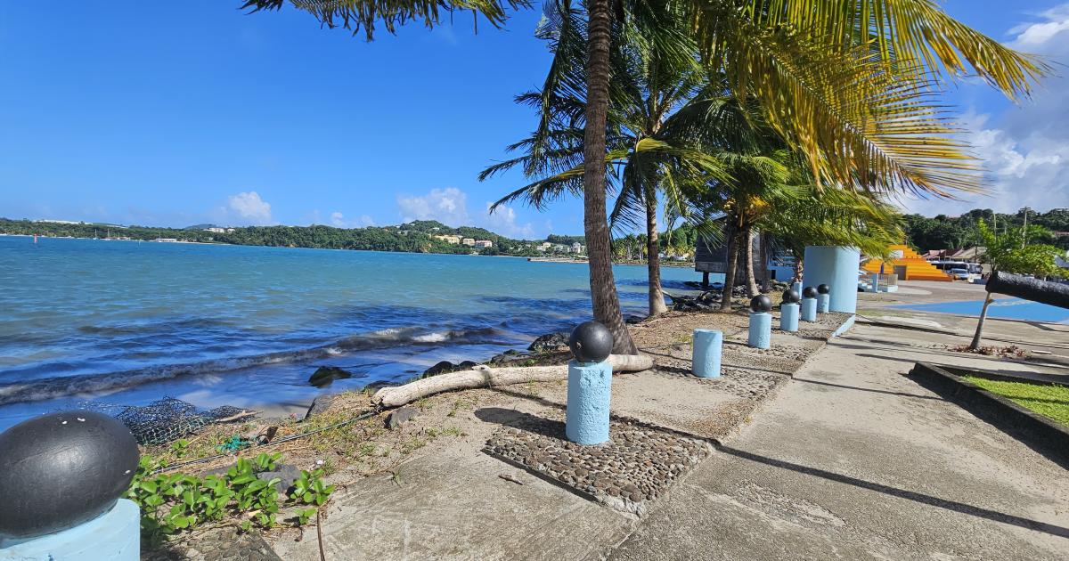 Retour au vert en Martinique