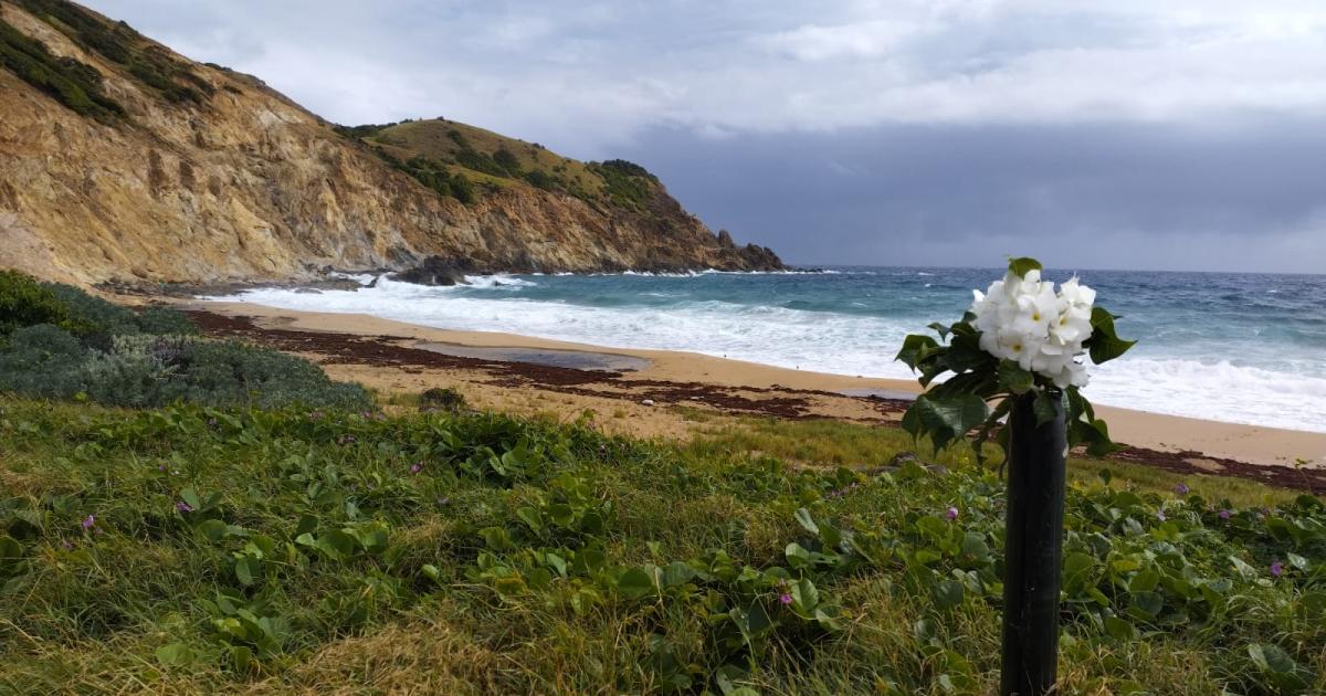 Crash aux Saintes : la récupération des corps repoussée à la fin de semaine