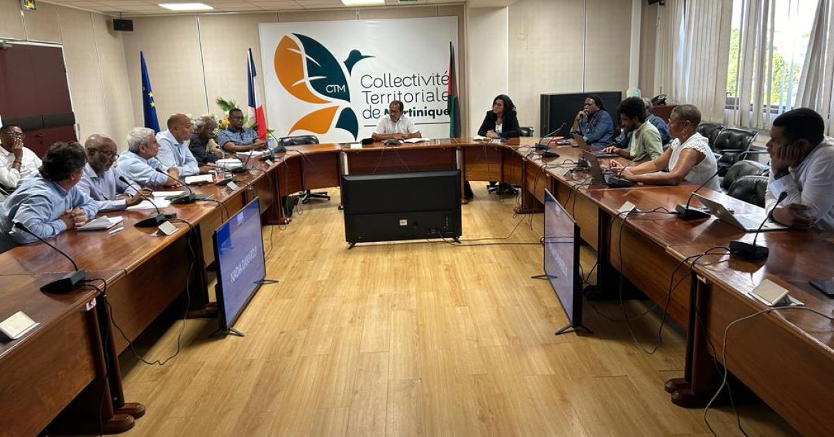 Les élus et le monde économique s'allient pour réformer l'octroi de mer