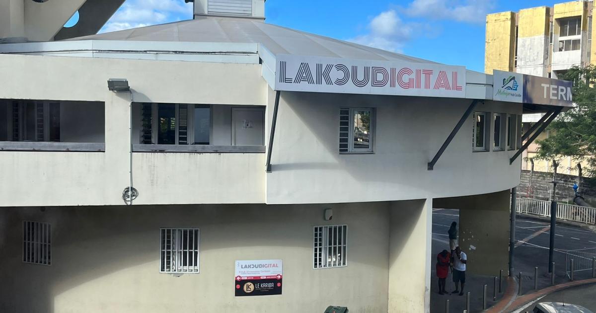 Lakoudigital : « le Grand Port de Martinique veut nous condamner à mort »