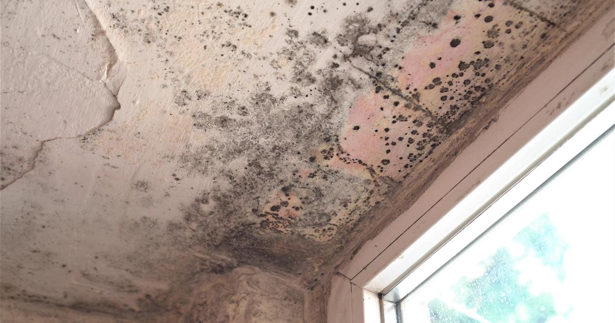 550 foyers sont en attente de subventions de l’aide à l’amélioration de l’habitat
