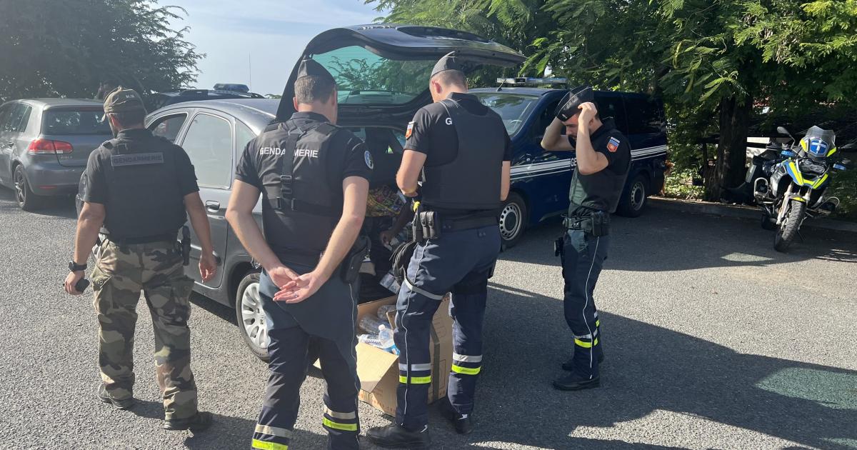 « En 2023, un quart des blessés de la gendarmerie l’ont été en Outre-Mer »
