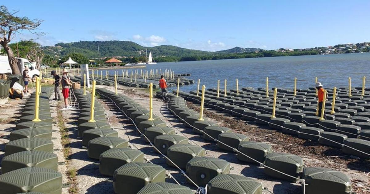     





Les barrages anti-sargasses au Robert sont en cours de renouvellement




