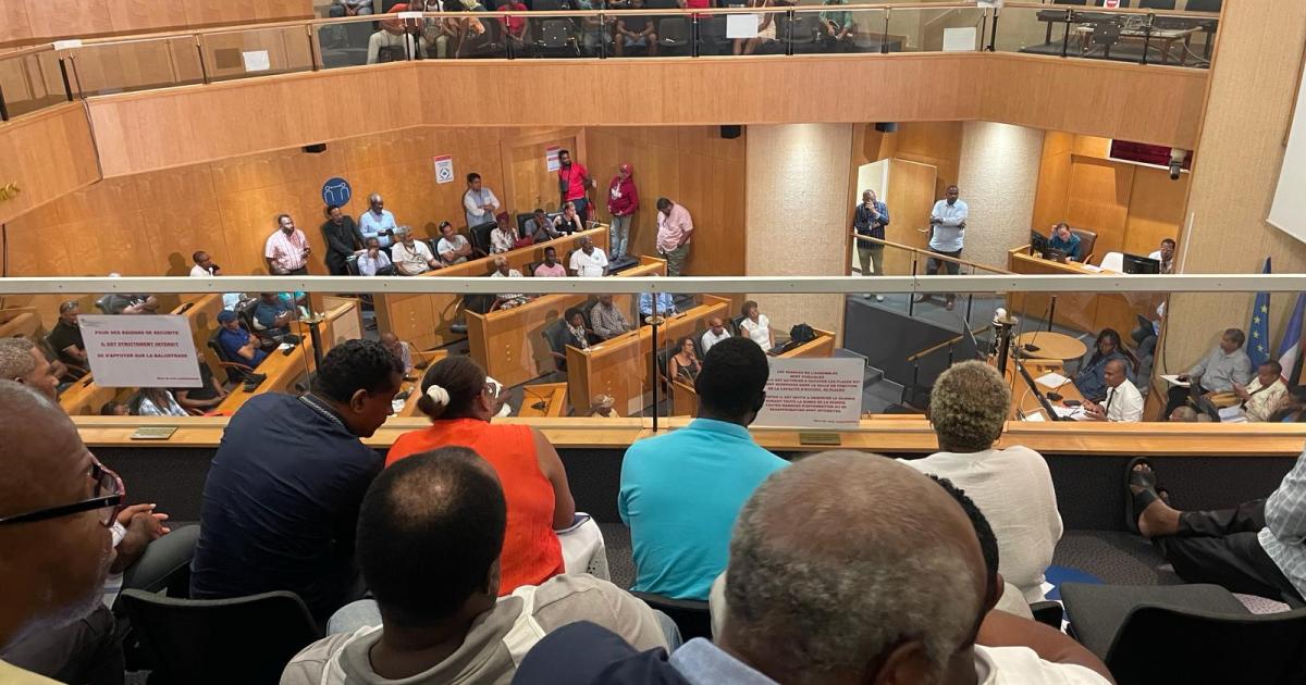 Les agriculteurs de Martinique font entendre leurs doléances à la CTM