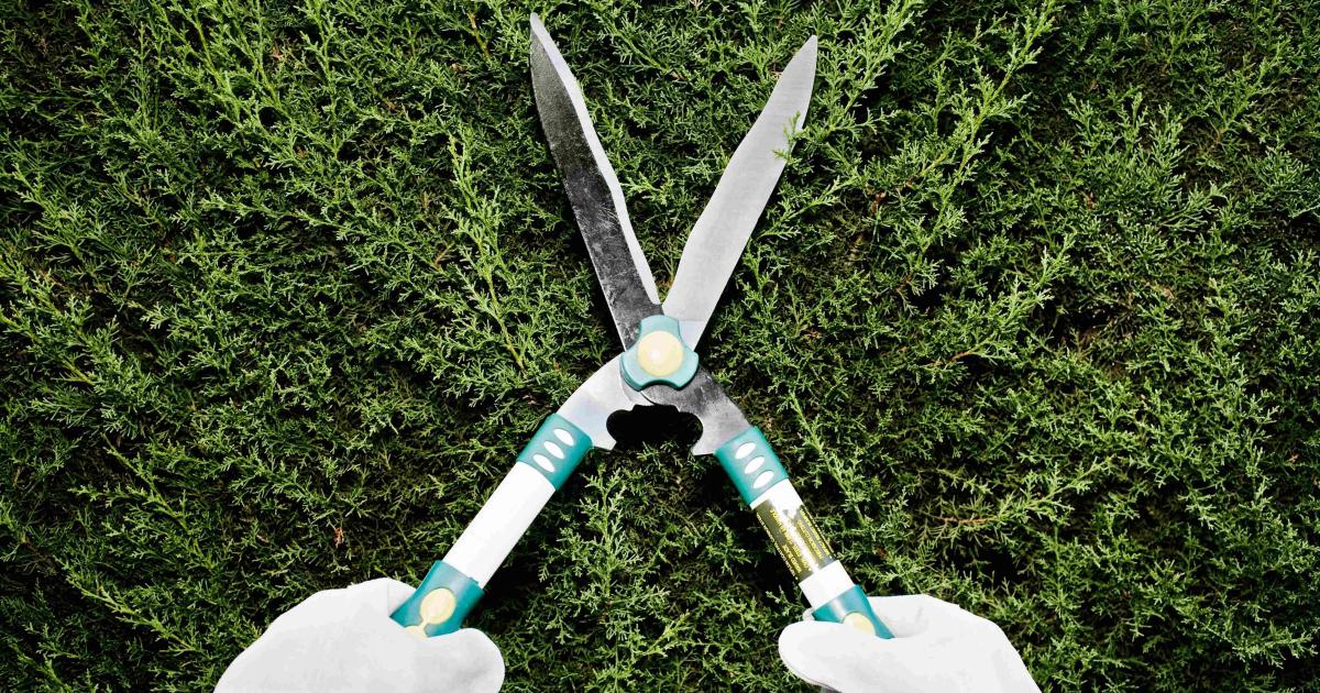     





Il agresse ses parents avec des cisailles et blesse un gendarme




