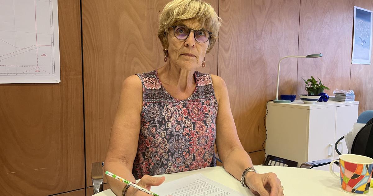 Viols en série et vols avec violence : deux personnes en garde à vue