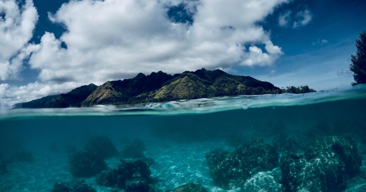 Des barrières artificielles de corail pour lutter contre les ouragans