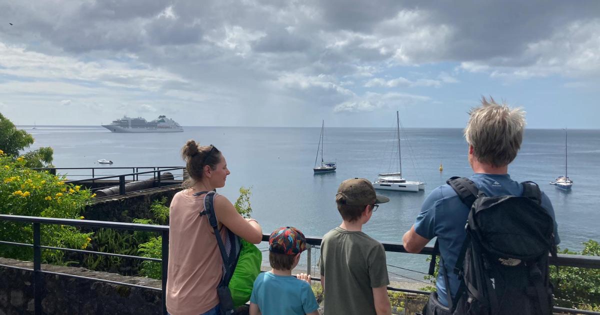 Les escales de croisière à Saint-Pierre bénéficient-elles aux professionnels du tourisme ?