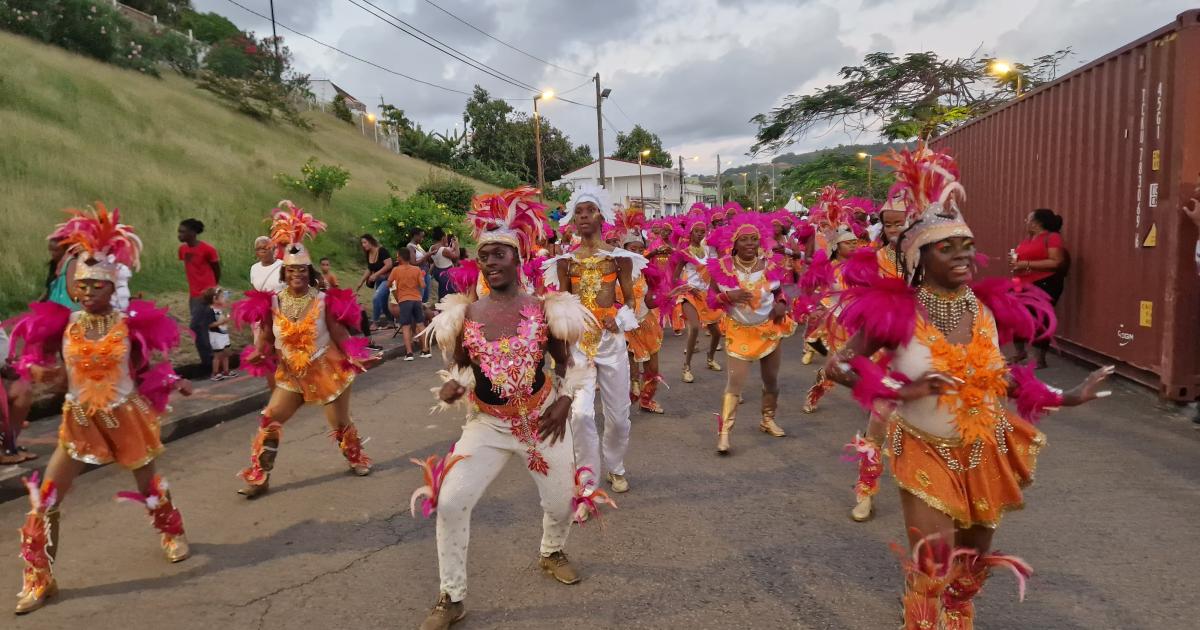     





[EN IMAGES] Le Capita’ll Show a réuni 15 groupes de carnaval au Robert ce samedi





