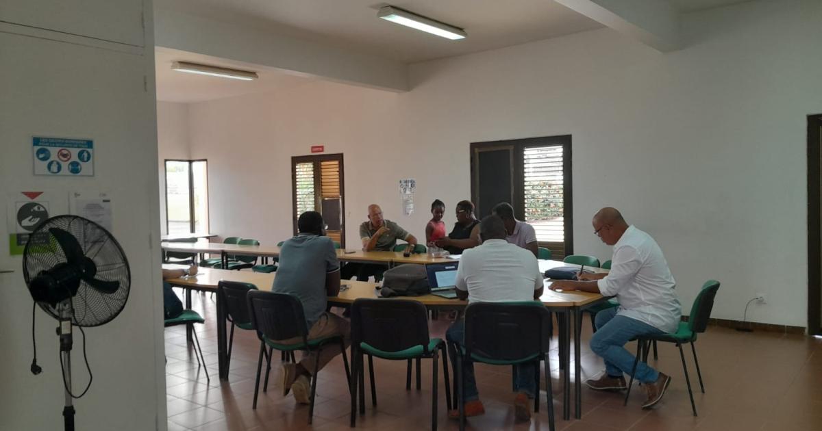 Les exploitants agricoles de Martinique sont prêts à se faire entendre
