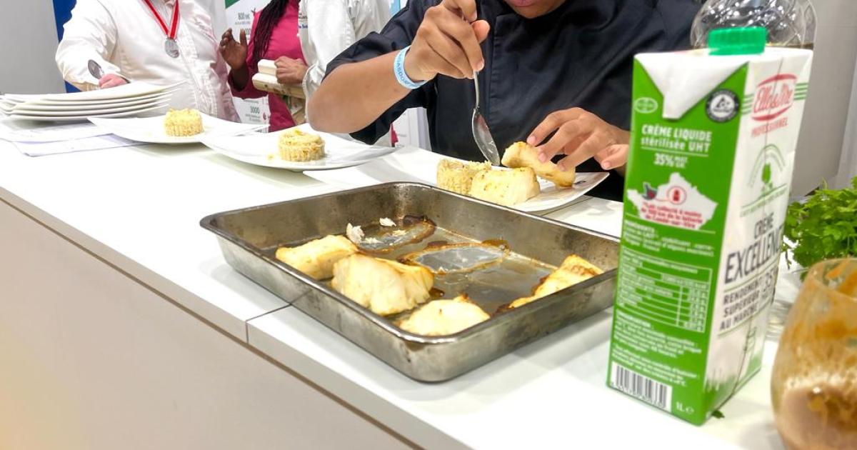 Des apprentis antillais s’affrontent dans un concours au Sagasdom