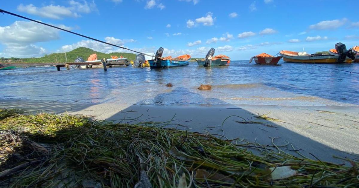 Chlordécone : l’État prolonge et simplifie l’aide aux pêcheurs