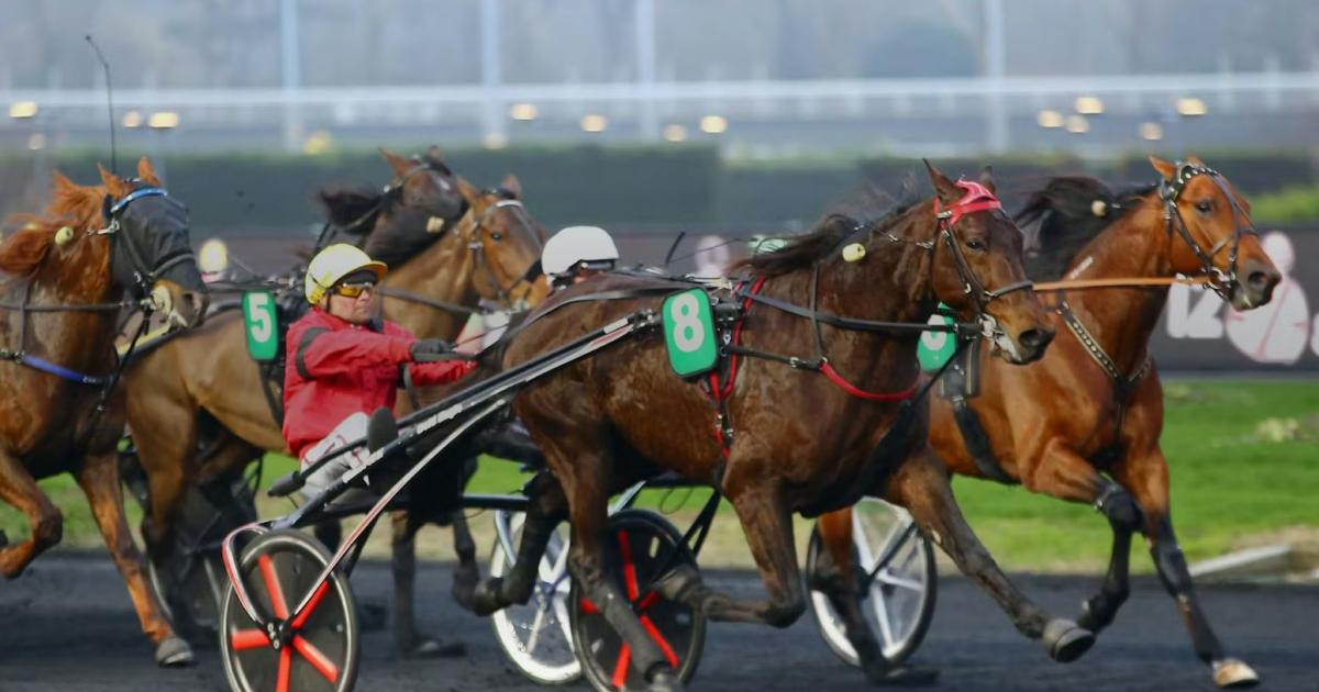     





Un parieur martiniquais remporte plus de 700 000 euros au PMU




