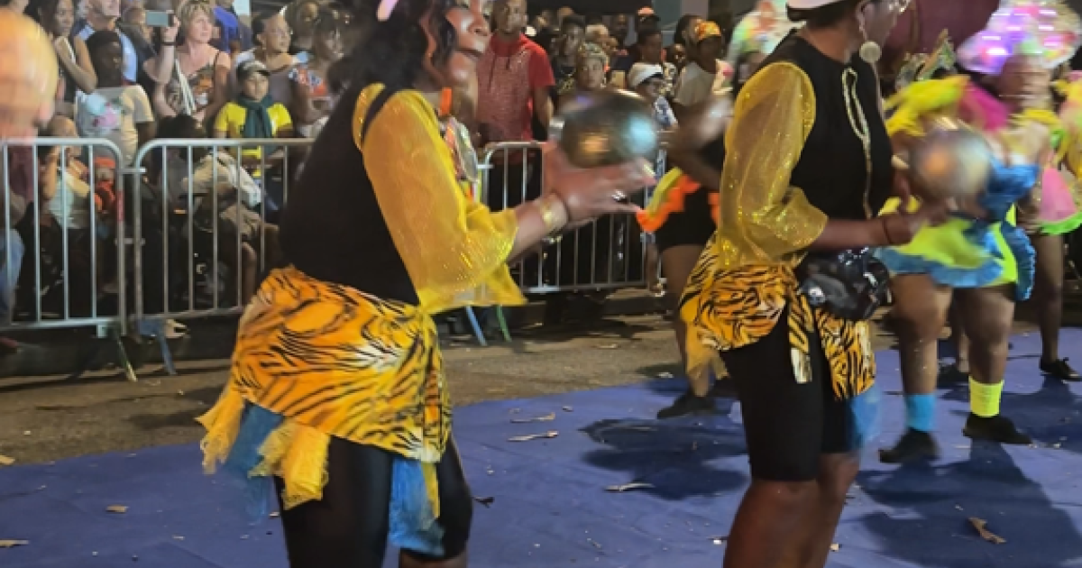 Le Carnaval a fait escale à Dillon !