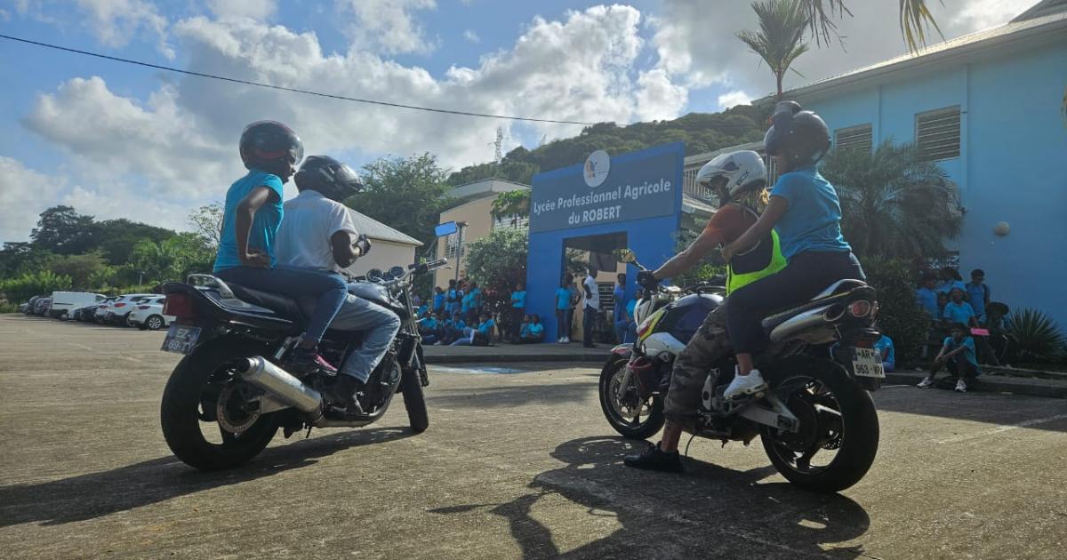 5 morts en 2024 sur les routes de Martinique : la prévention plus que jamais nécessaire