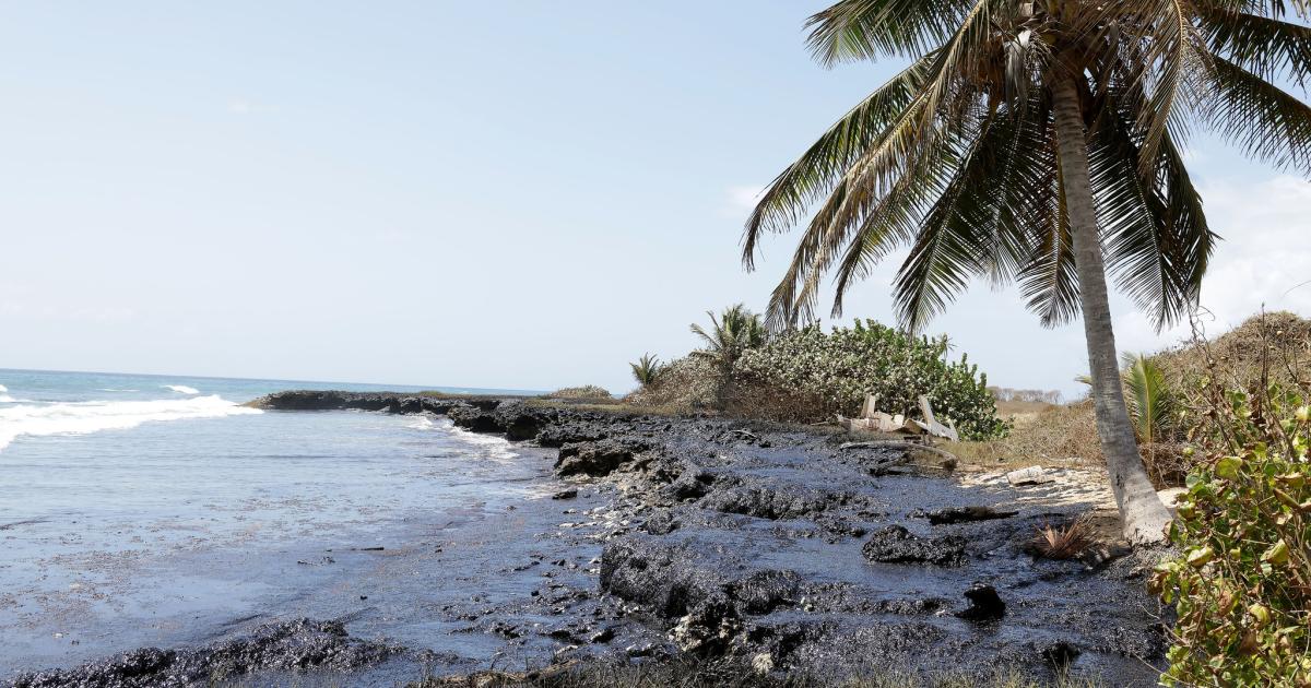 Trinidad-et-Tobago : la marée noire toujours pas contenue, gros dégâts sur les côtes